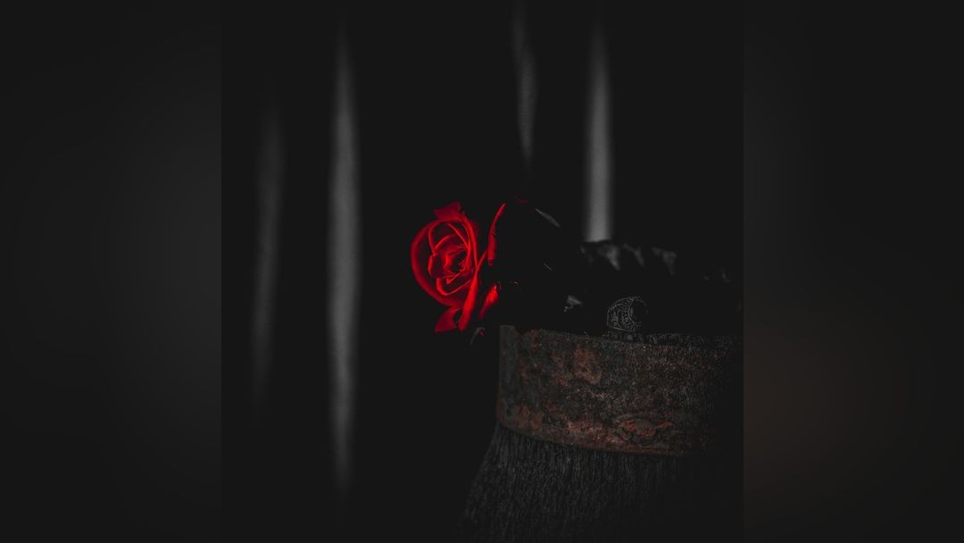 ‘J’ ACCUSE…!’