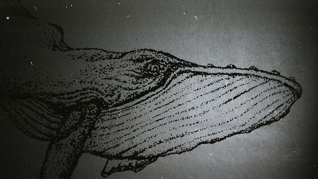 The Rule of Law, cartels and the CAT